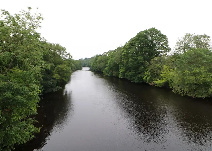 Magnolia Holiday home *